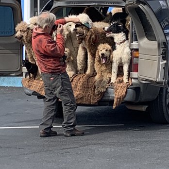 Chetco Brewing Company - Saw this at the Harbour, when I was done Kayak Fishing !! Dog  gone fun!! - Breweries Near Me - Brookings, Oregon