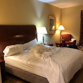 Hilton Garden Inn Amarillo - 3rd floor - older room with bed bugs - Hotels Near Me - Amarillo, Texas Hilton Garden Inn Amarillo - 3rd floor - older room with bed bugs - Hotels Near Me - Amarillo, Texas