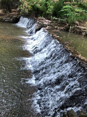 Medlock Park by null