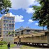 University of Hawaii at Mānoa gift card