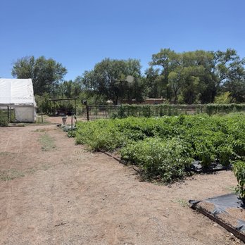 Old Town Farm - Expansive flower gardens - Venues & Event Spaces Near Me - Albuquerque, New Mexico Old Town Farm - Expansive flower gardens - Venues & Event Spaces Near Me - Albuquerque, New Mexico