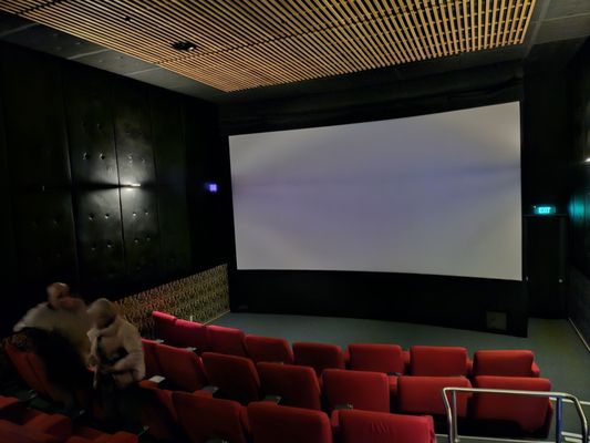 Fiordland Cinema by null