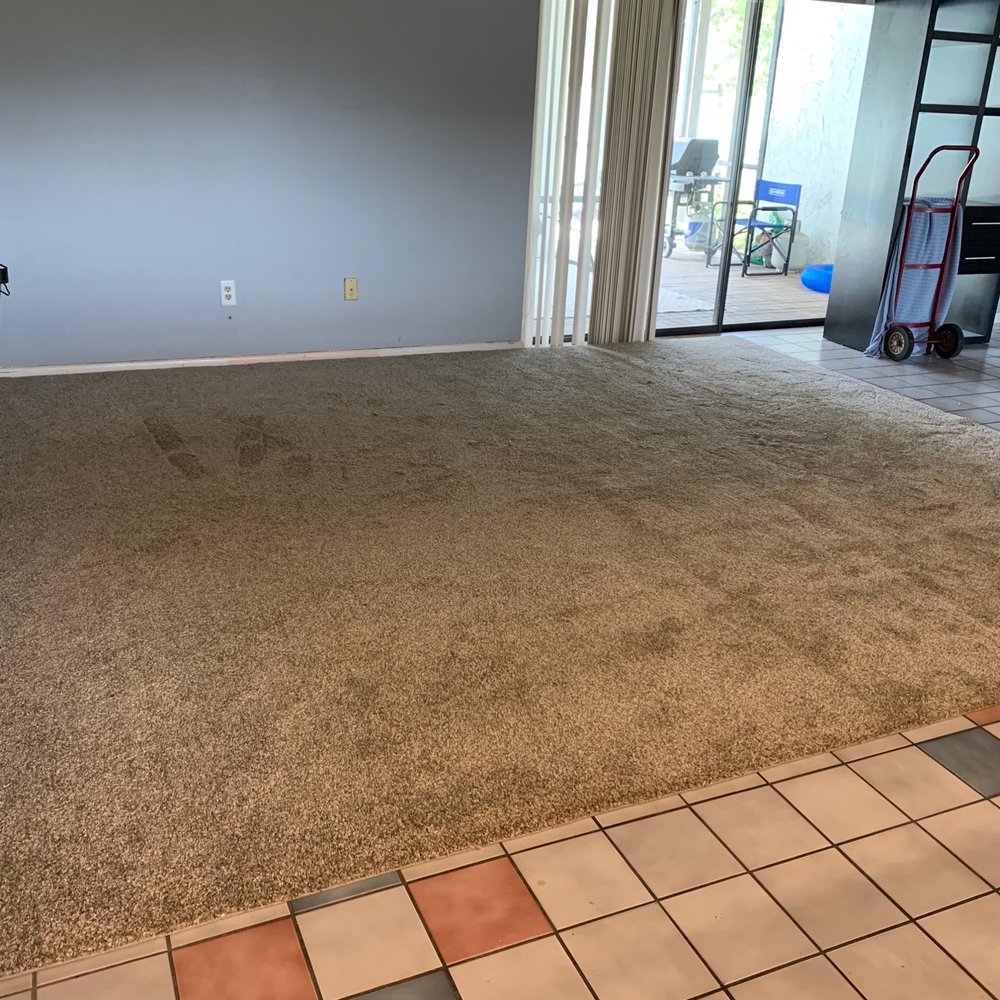Naffco Abbey Floors & Blinds - Living room; carpet with edge banding - Flooring Near Me - Brandon, Florida