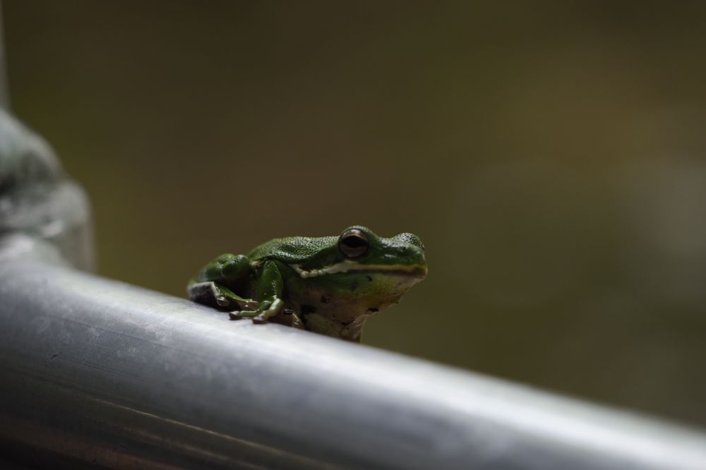 cajun encounters promo code 2019