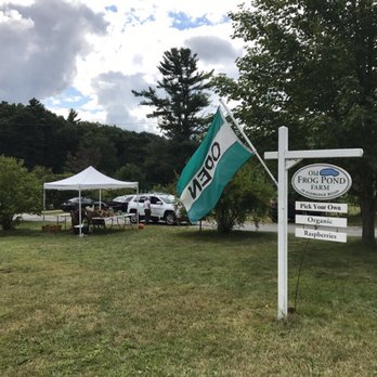 Old Frog Pond Farm - 5 - Farmers Market Near Me - Harvard, Massachusetts