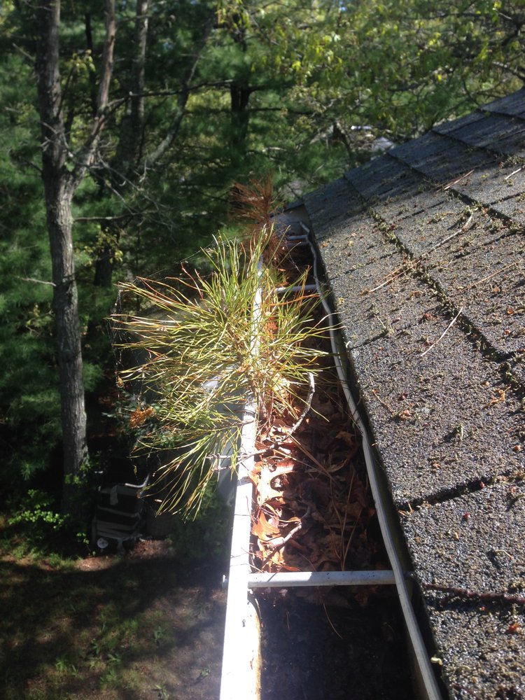 CAPE COD GUTTER MONKEYS Updated May 2024 25 Reviews 20 Evergreen