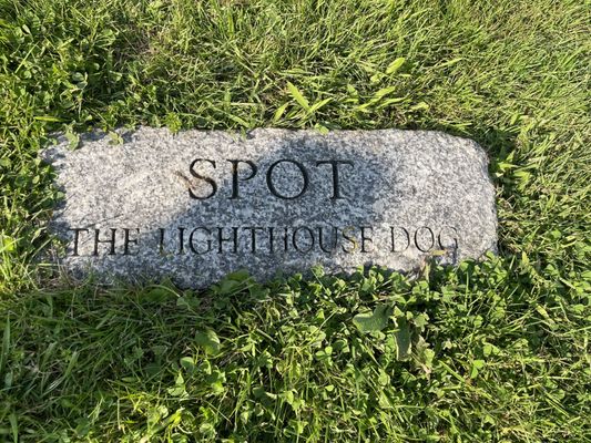 Owls Head State Park by null