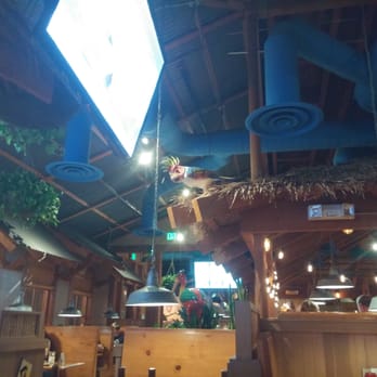 Islands Restaurant - Tvs in isles parrots on roof - Burgers Near Me - Avondale, Arizona