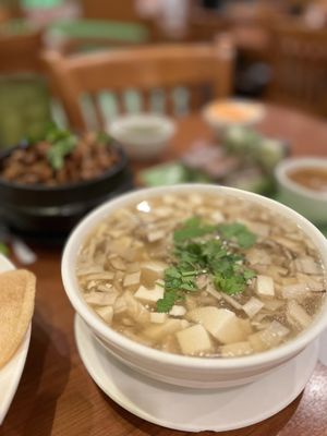 Hoa Sen by null