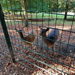 Nordpark - Wuppertal