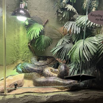 Reptilia - Zoos Near Me - Concord, Ontario Reptilia - Zoos Near Me - Concord, Ontario