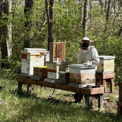 Lappe's Bee Supply and Honey Farm