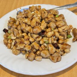 宫保鸡丁Kung Pao Chicken 宫保鸡丁Kung Pao Chicken