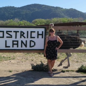 Ostrichland USA - Ostrich photo bombing me - Attraction Farms Near Me - Solvang, California
