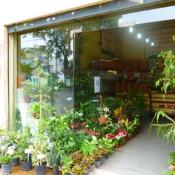 Green Life