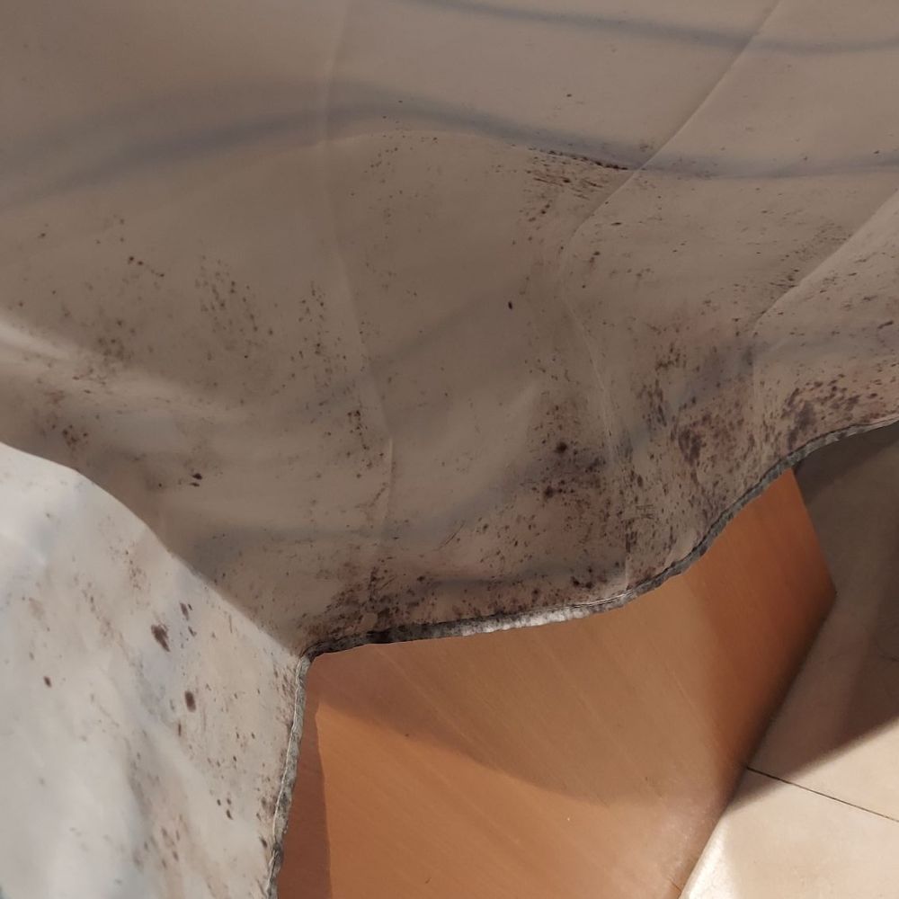 Hostal Mont Thabor - Moldy shower curtain - Hostels Near Me - Barcelona, B