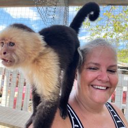 Durinda Underwood - Cruise Planners - Playing with the monkey Excursion in Mexico.