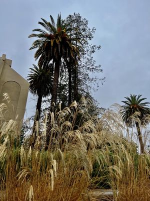 De Anza College by null