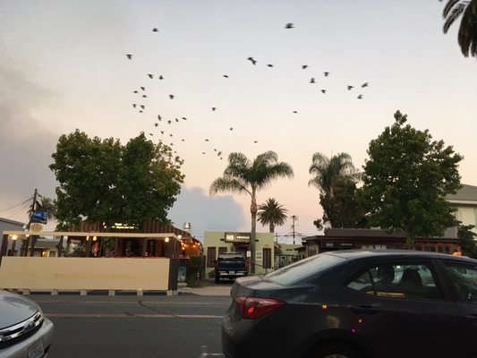 Photo of El Zarape Restaurant - San Diego, CA, US. The view