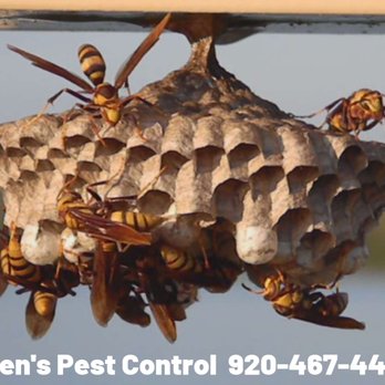 Even's Pest Control - Pest Control Near Me Even's Pest Control - Pest Control Near Me