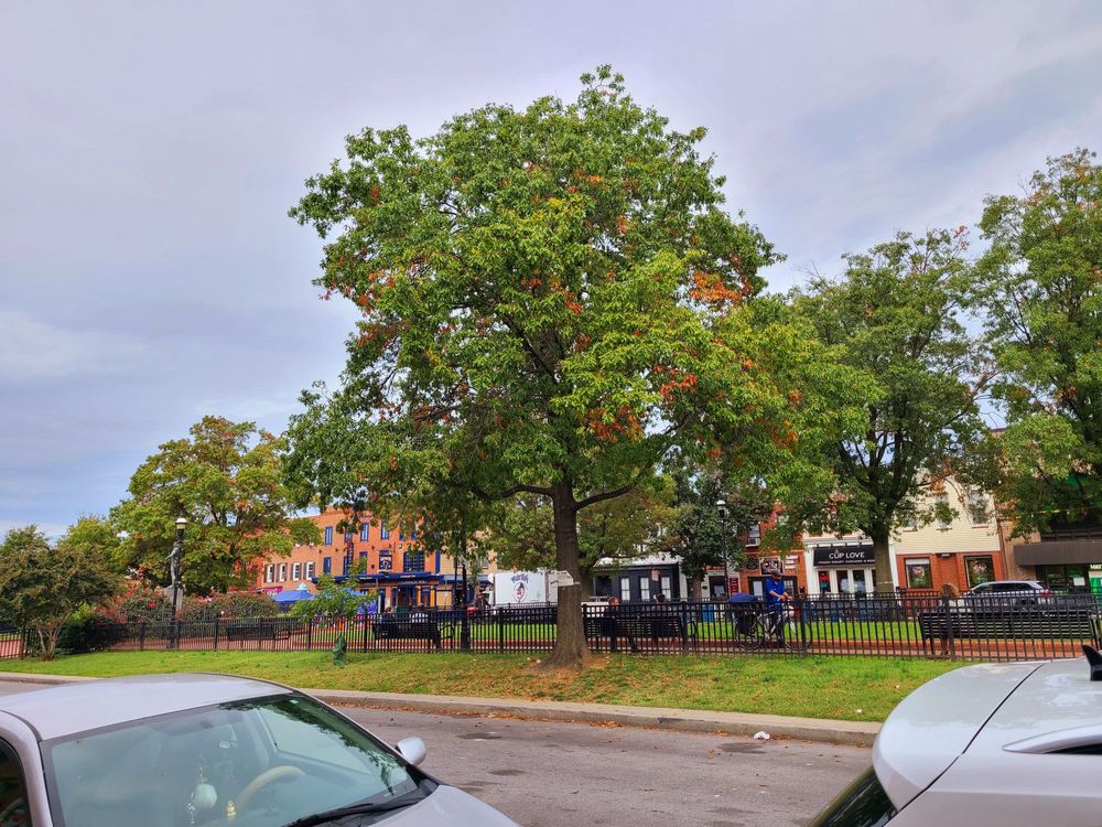 O’DONNELL SQUARE PARK Updated September 2024 2917 O'Donnell St