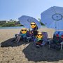 All About Babies 'n Beaches