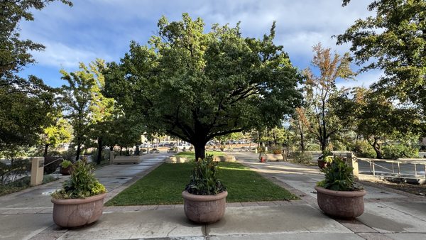 New Mexico State Capitol by null