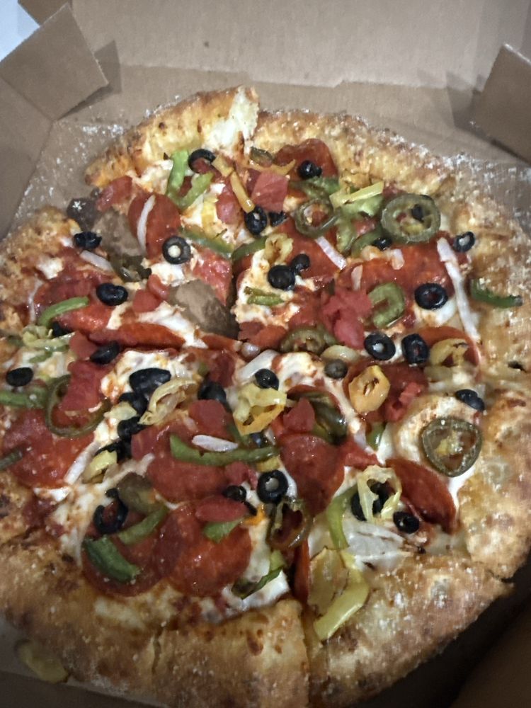 Domino's Pizza Logo