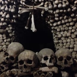 Human skulls Human skulls
