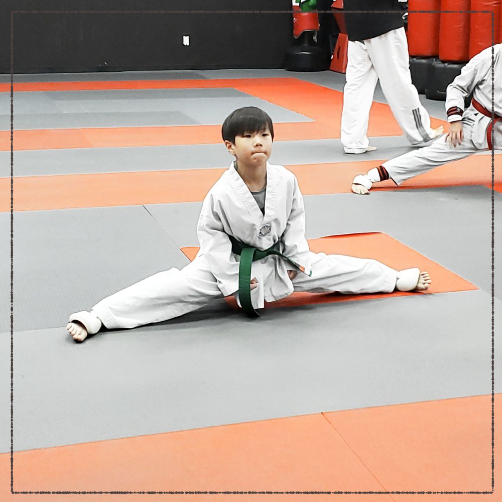 Infinity Taekwondo Logo