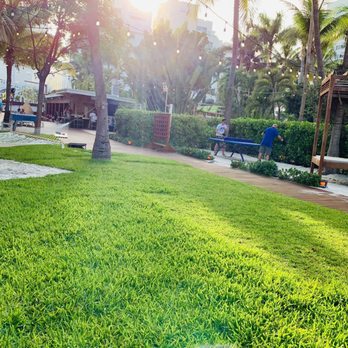 Backyard Bar - Bars Near Me - Miami Beach, Florida