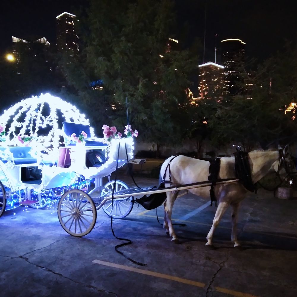 JHouston Horse and Carriage