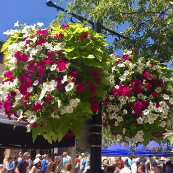 Vail Farmers Market - Flowers at Vail Farmers Market - Gorgeous - Farmers Market Near Me - Vail, Colorado Vail Farmers Market - Flowers at Vail Farmers Market - Gorgeous - Farmers Market Near Me - Vail, Colorado