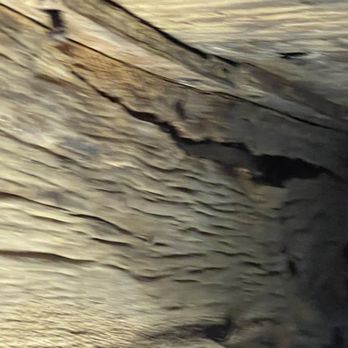 Gauthier's Home Inspection Services - Home Inspectors Near Me - Thibodaux, Louisiana Gauthier's Home Inspection Services - Home Inspectors Near Me - Thibodaux, Louisiana