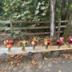 Bainbridge Island Cycle Shop