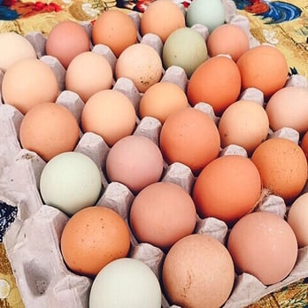 Da-Le Ranch - Beautiful! I'm so excited to have access to farm fresh eggs. Can't wait to come back for more - Ranches Near Me - Lake Elsinore, California