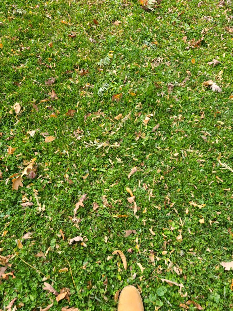 PICKETT’S PAVING Updated June 2024 4245 W Beltline Hwy, Madison, Wisconsin Masonry