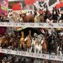 Photo of Tractor Supply