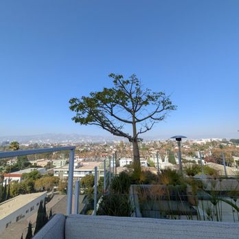 Videre - Bars Near Me - Los Angeles, California