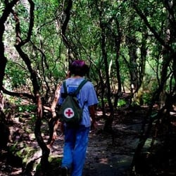 Virgin Falls Pocket Wilderness