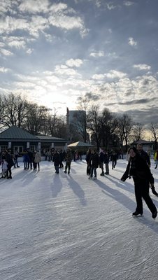 Boston Common Frog Pond by null