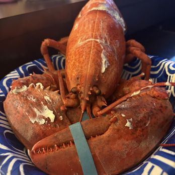 ShopRite Supermarkets - Nice big tasty lobster from shop rite - Grocery Near Me - Mount Kisco, New York ShopRite Supermarkets - Nice big tasty lobster from shop rite - Grocery Near Me - Mount Kisco, New York