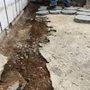 Photo of Pascual's Yard Services