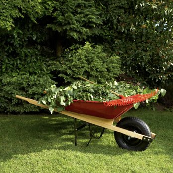 JAB Lawn Care - a wheelbarrow full of plants - Lawn Services Near Me JAB Lawn Care - a wheelbarrow full of plants - Lawn Services Near Me