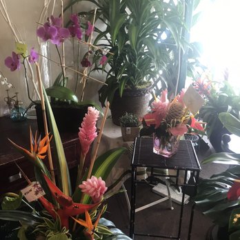 Picket Fence Florist - Several fresh, local-sourced flowers - Florists Near Me - Kailua, Hawaii Picket Fence Florist - Several fresh, local-sourced flowers - Florists Near Me - Kailua, Hawaii