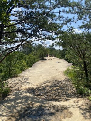 Daniel Boone National Forest by null