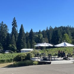 Twill cellars - A perfect place if you're a wine enthusiast that prefers a tasting experience minus the "hustle and bustle"