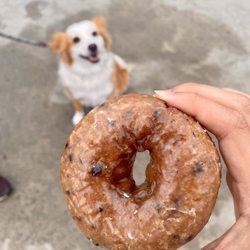 Seaside Donuts Bakery - Blueberry Cake Donut.