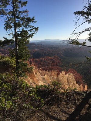 Canyon Fever Guides by null