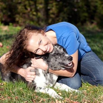 Dogovation Dog Training - Pet Training Near Me Dogovation Dog Training - Pet Training Near Me